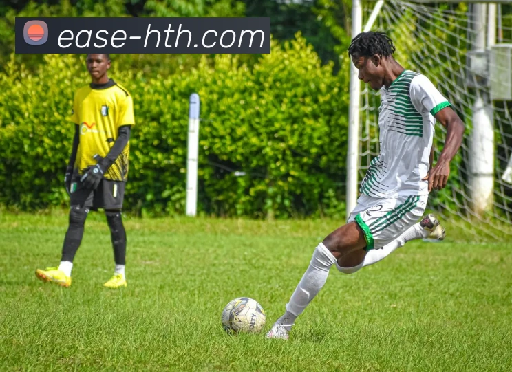 华体会APP 封面图